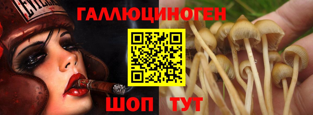 Псилоцибиновые грибы мухоморы Грязи
